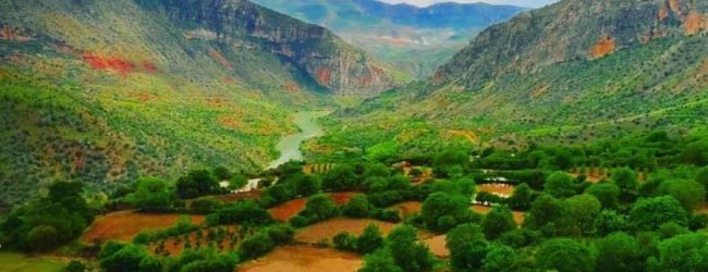 0907c254-edb2-47ea-9aee-9c3b58e3def7-650x250