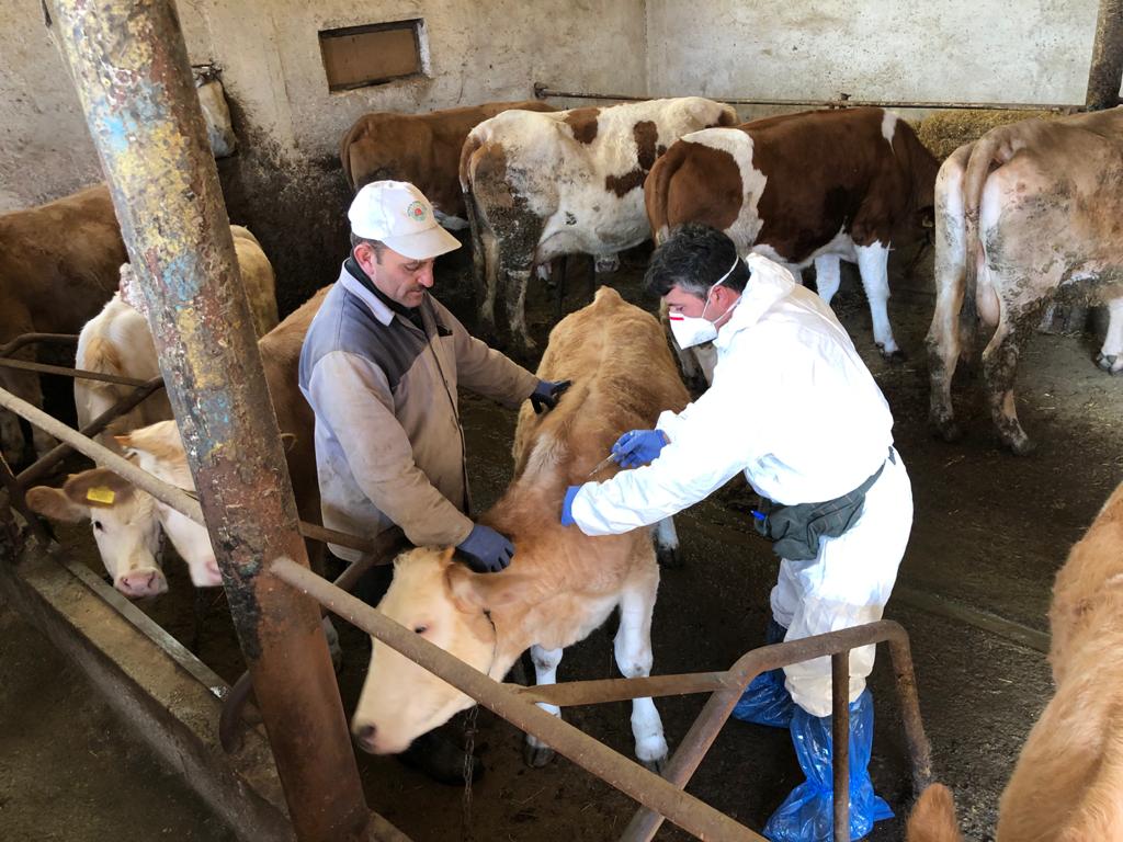 718cda6b-b404-443b-8960-7baa38519a28