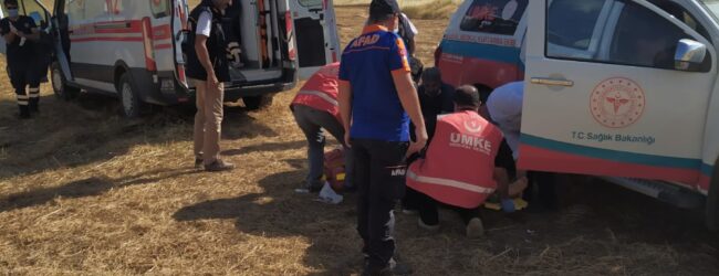 WhatsApp-Image-2020-06-22-at-19.00.48-650x250