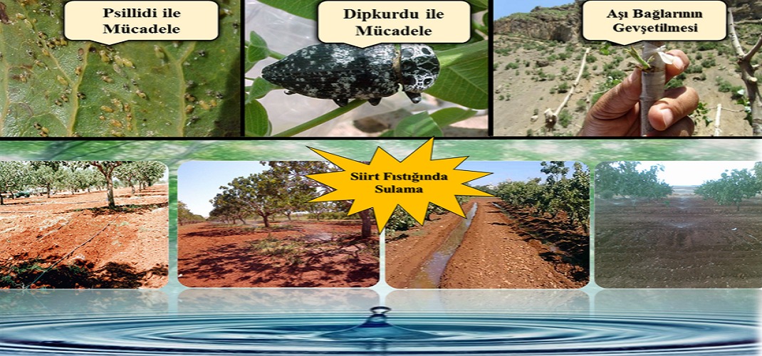 73c01ceb-e77c-4411-af64-b46ab90f9d75