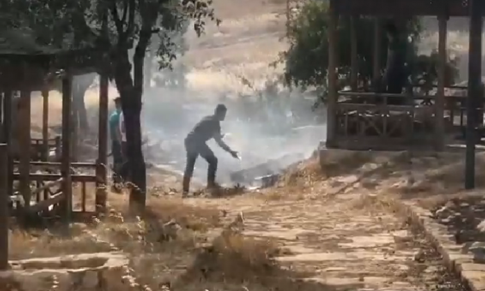 Screenshot_2020-07-05-17-22-12-987_com.whatsapp-700x420