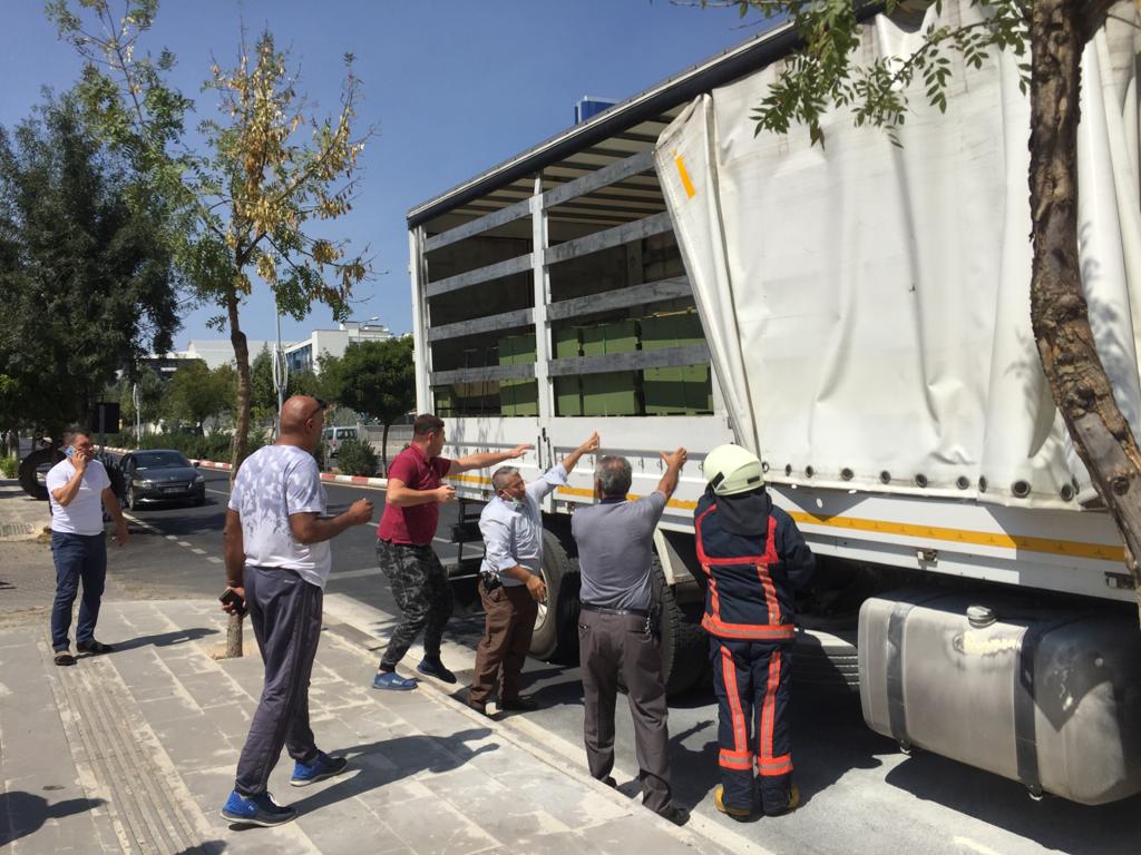 78f13719-f043-41b7-952e-28e4ca543eee