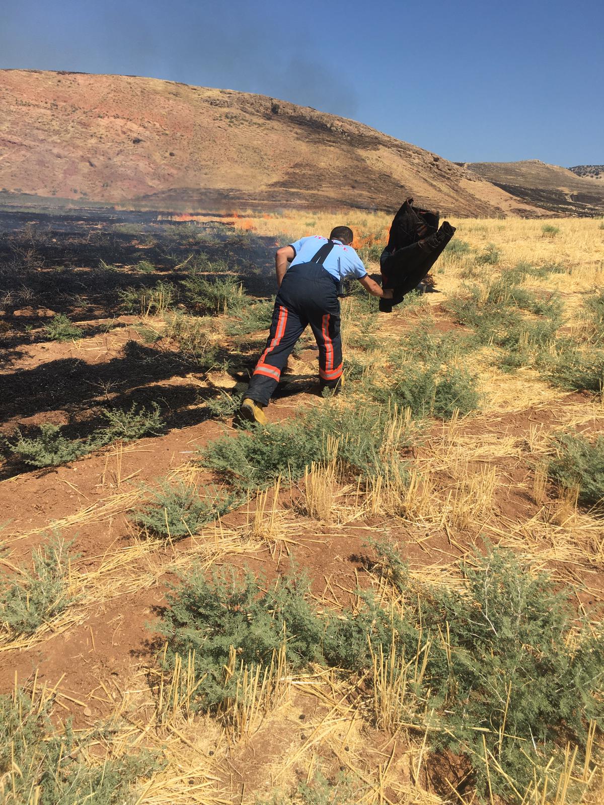 ec8bbab1-90dc-4e91-9622-6ead9d02d3f6