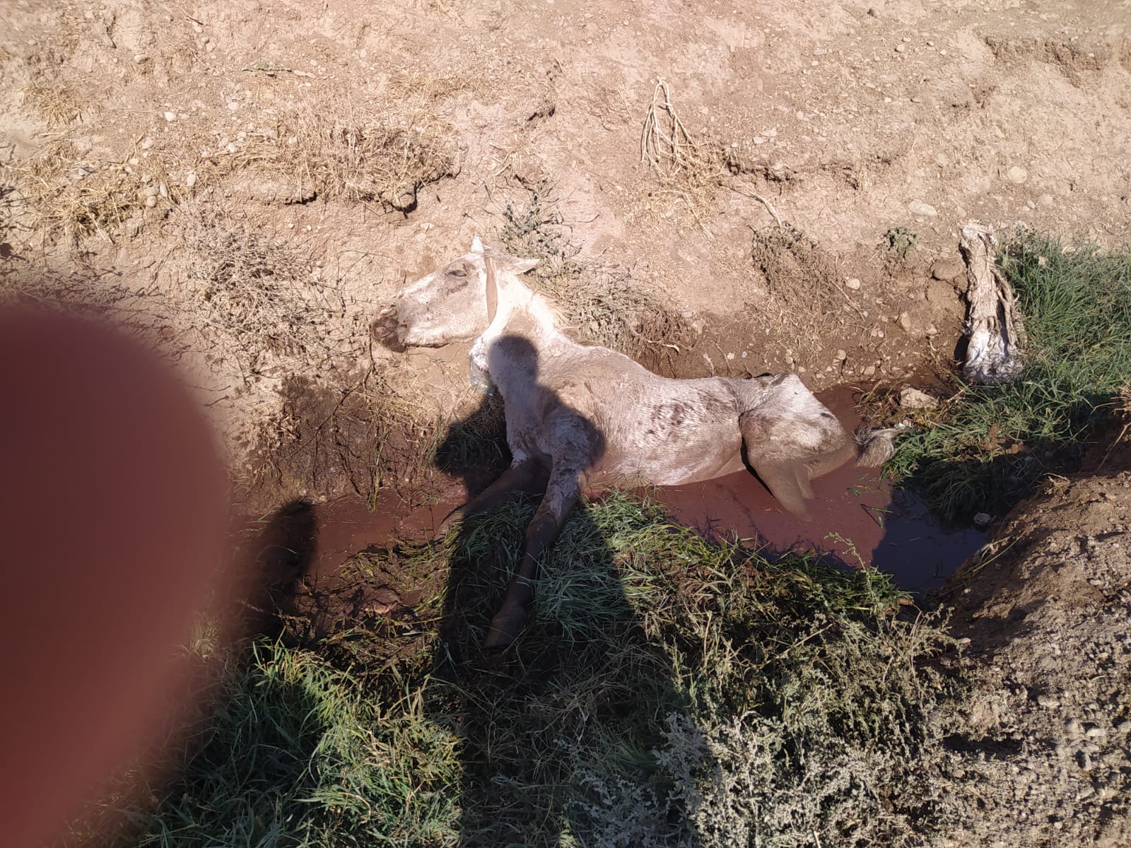 74c4aab0-a2c9-4bcd-a4e8-ebcdb75494d9