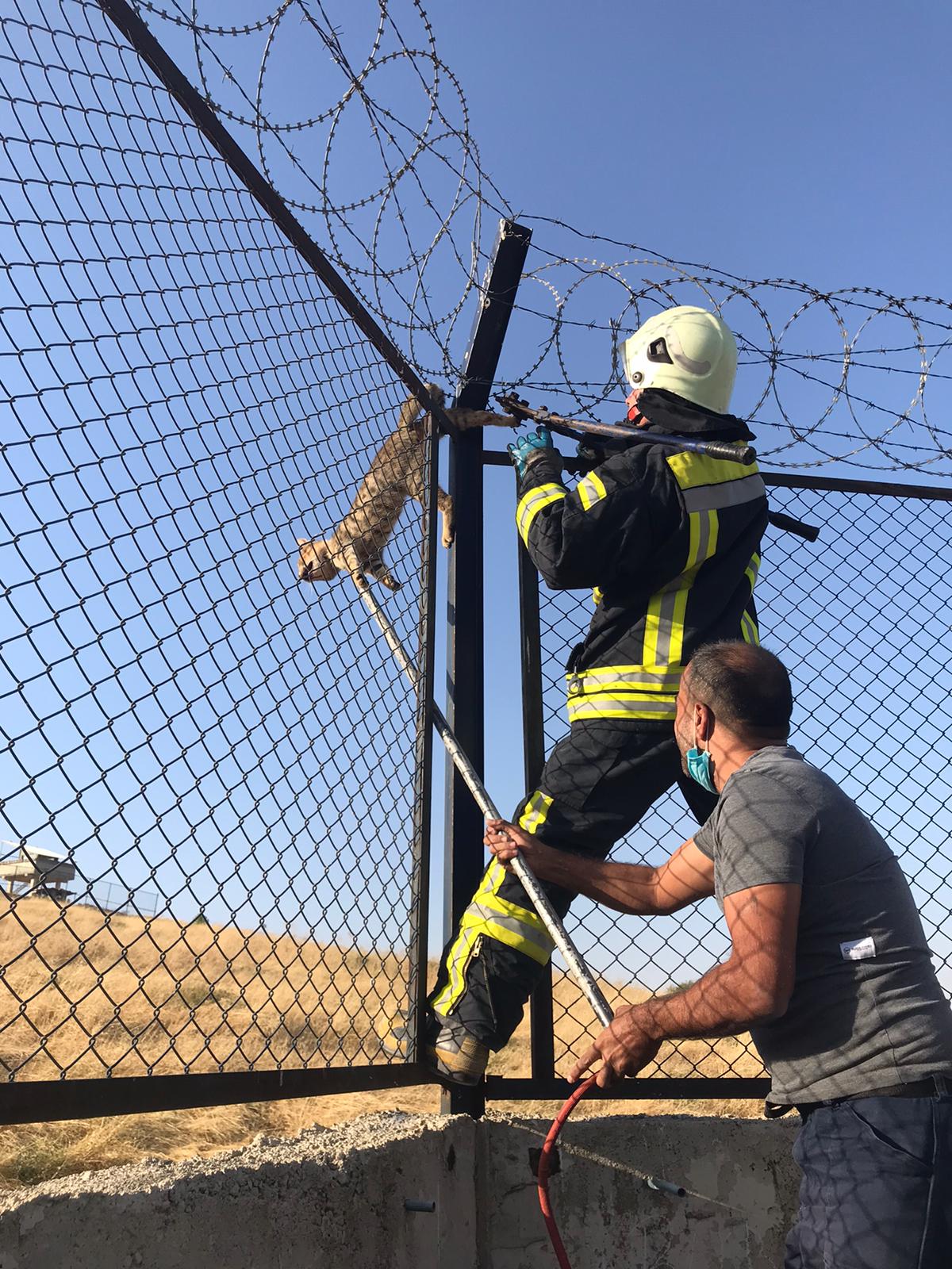 7b4ea584-fe68-4dcf-b533-b27236144333