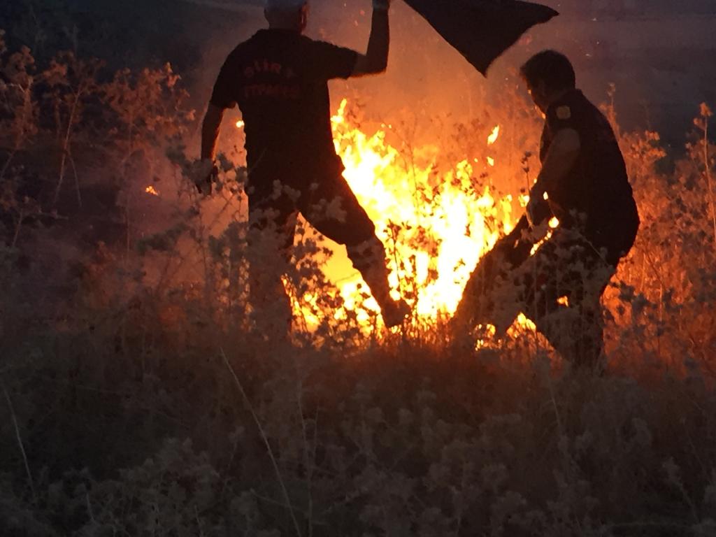 527ef4e8-9d38-4219-8750-650b811c5efe