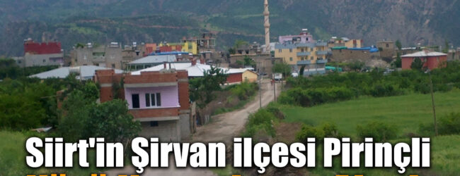 sirvan-karantina-650x250