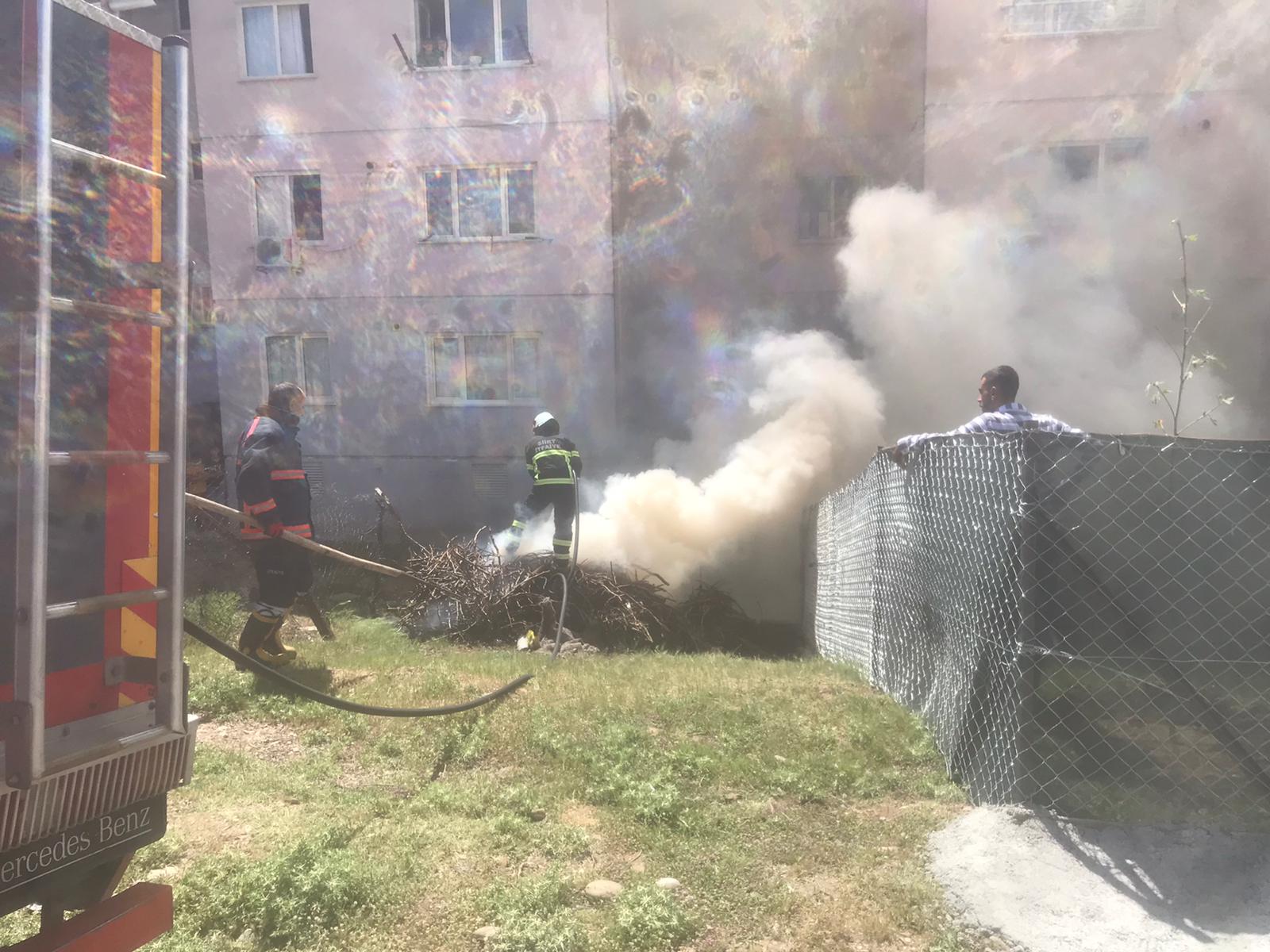 53299317-ac52-4a61-8cd1-b07f8eca9341