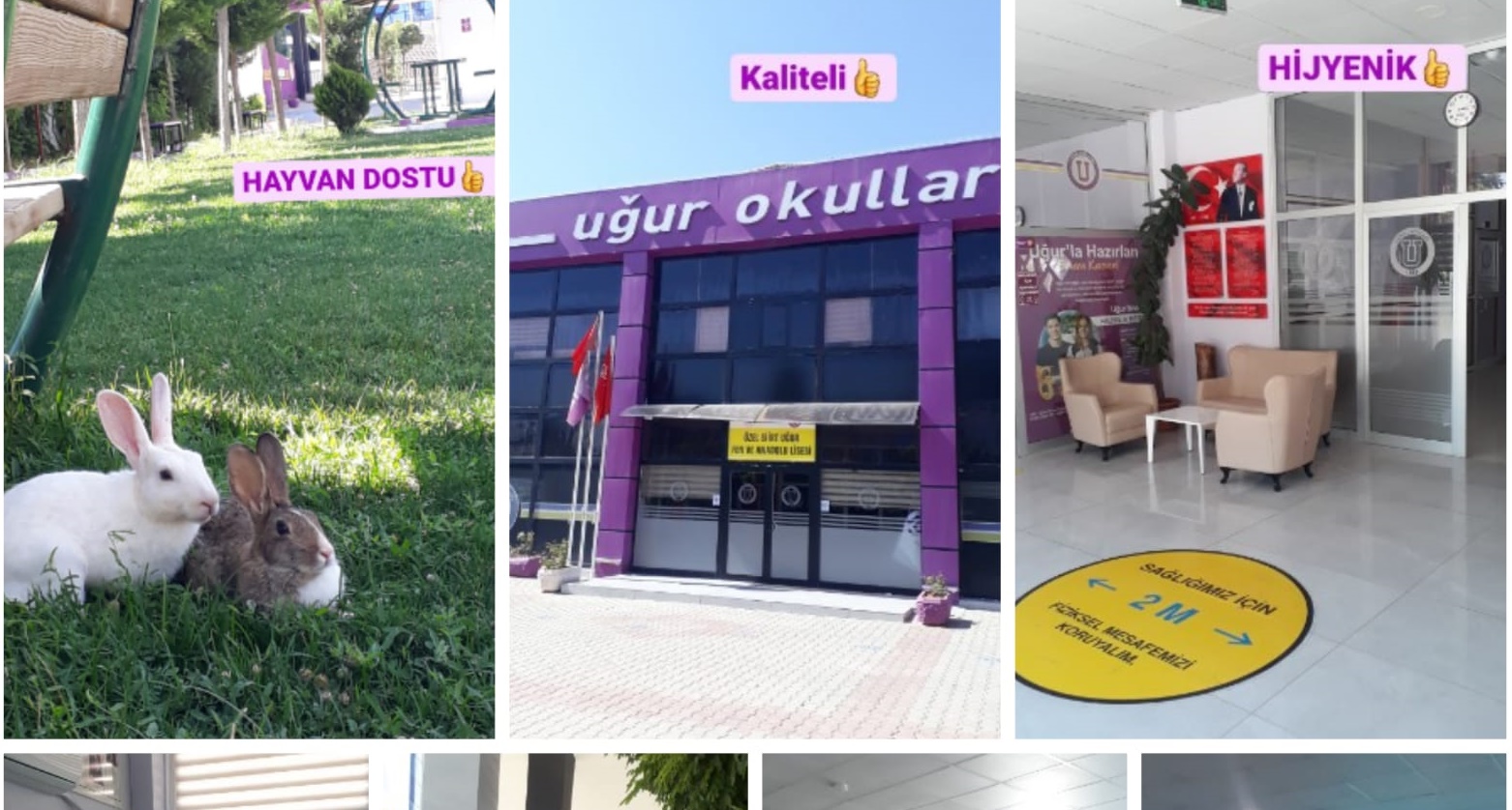 0d2d85d5-4e21-4f7e-92e1-9407f2e4dac0