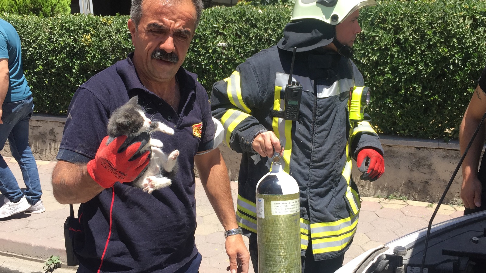 bc6c6e0f-a89e-43c6-8b57-8d42c989b346