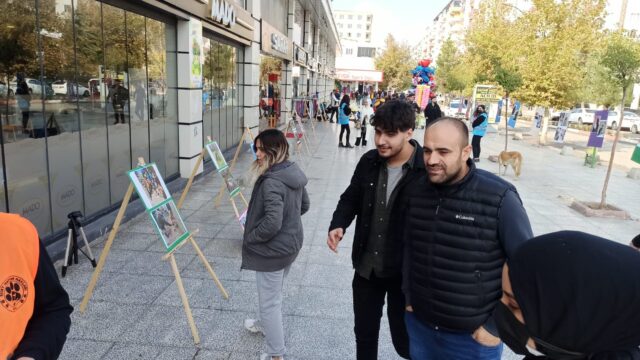 WhatsApp-Image-2021-11-21-at-15.53.41-640x360