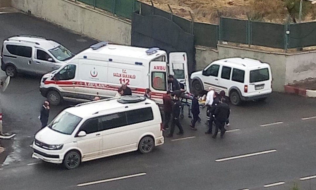 fd97e655-5277-4661-b647-8fe8544ed902