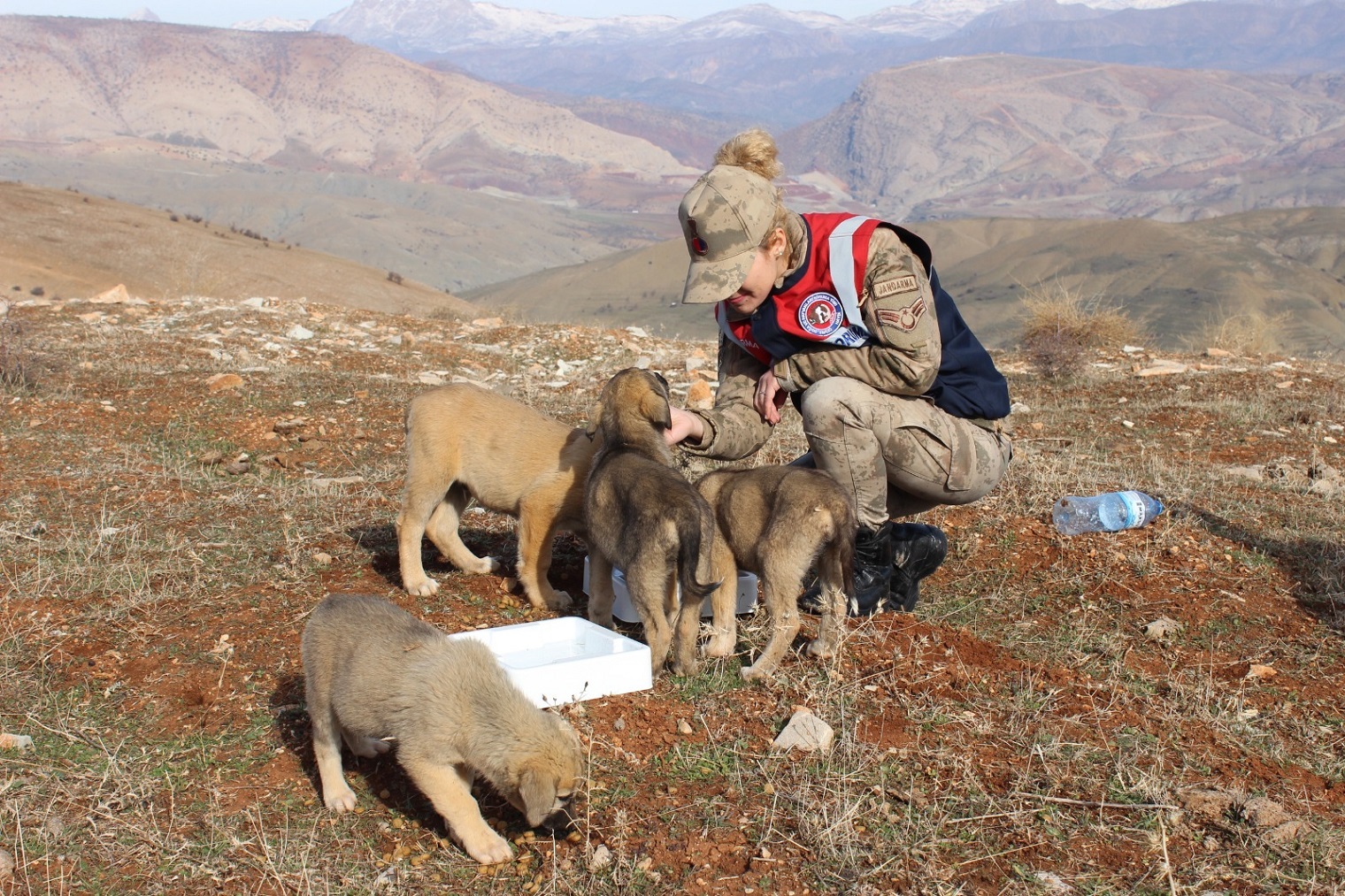 07050ecc-75a7-4e3a-ae1a-e10d2e14c7ab