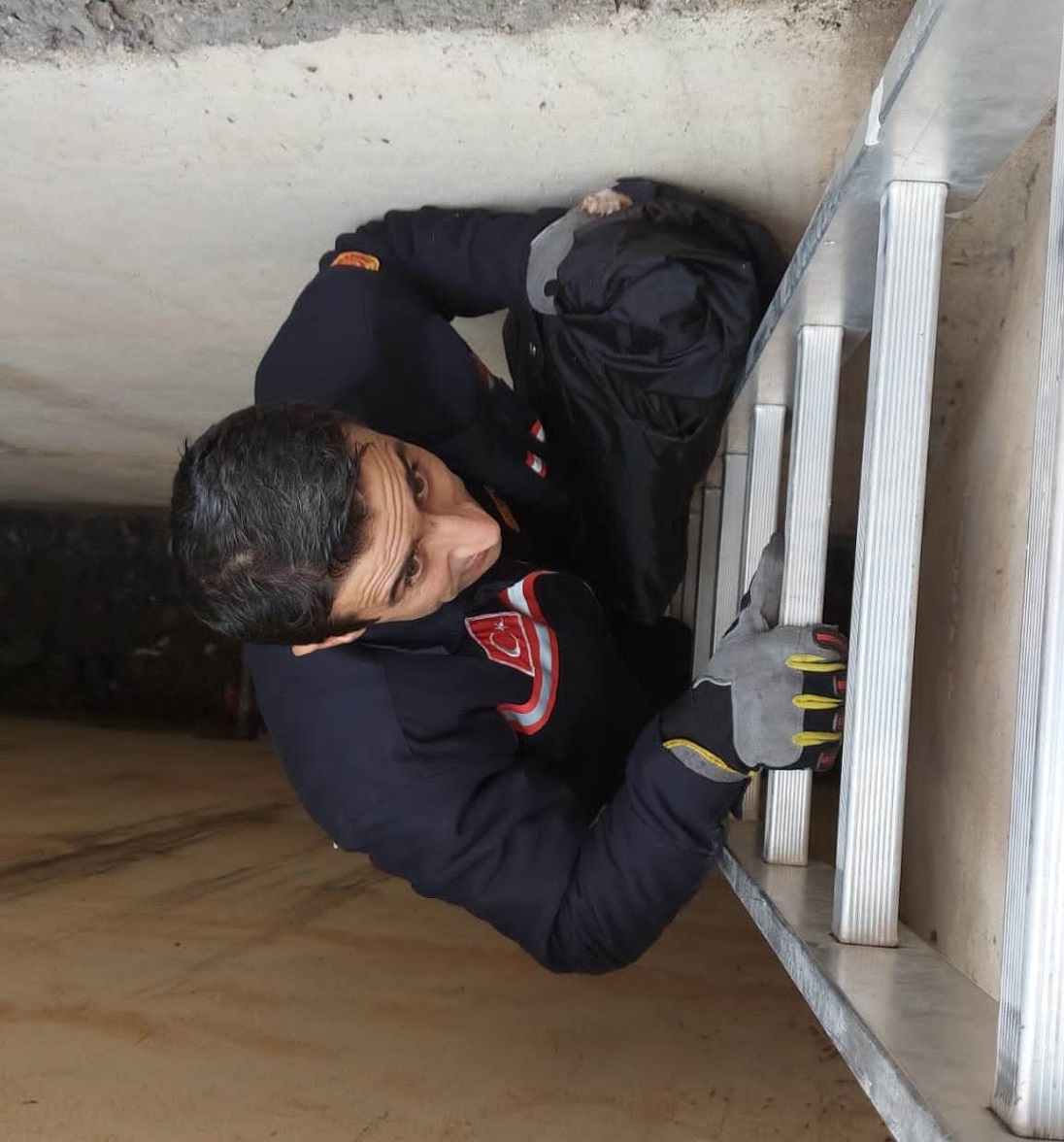 0e77e80d-9e96-446f-9ae0-e4c466801f6b