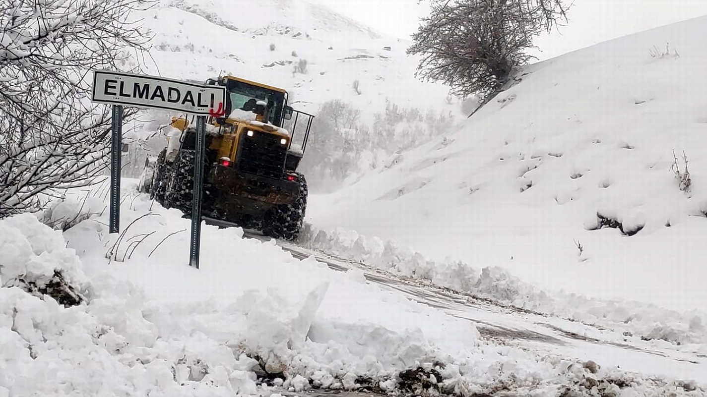 3d679d9b-9692-4f93-96a9-83ef9a692add