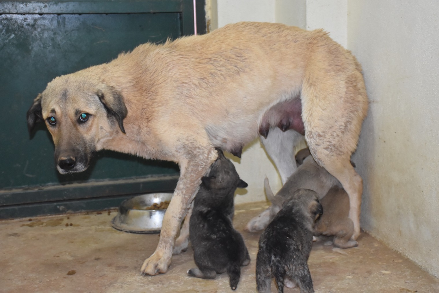 299fef89-b2a7-4750-b7b2-3a4b0809d418