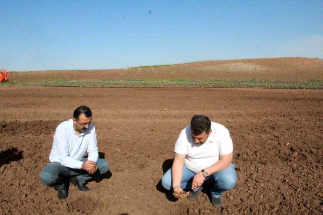 1f3a1bca-833b-45c0-a3f1-8516d18108d2