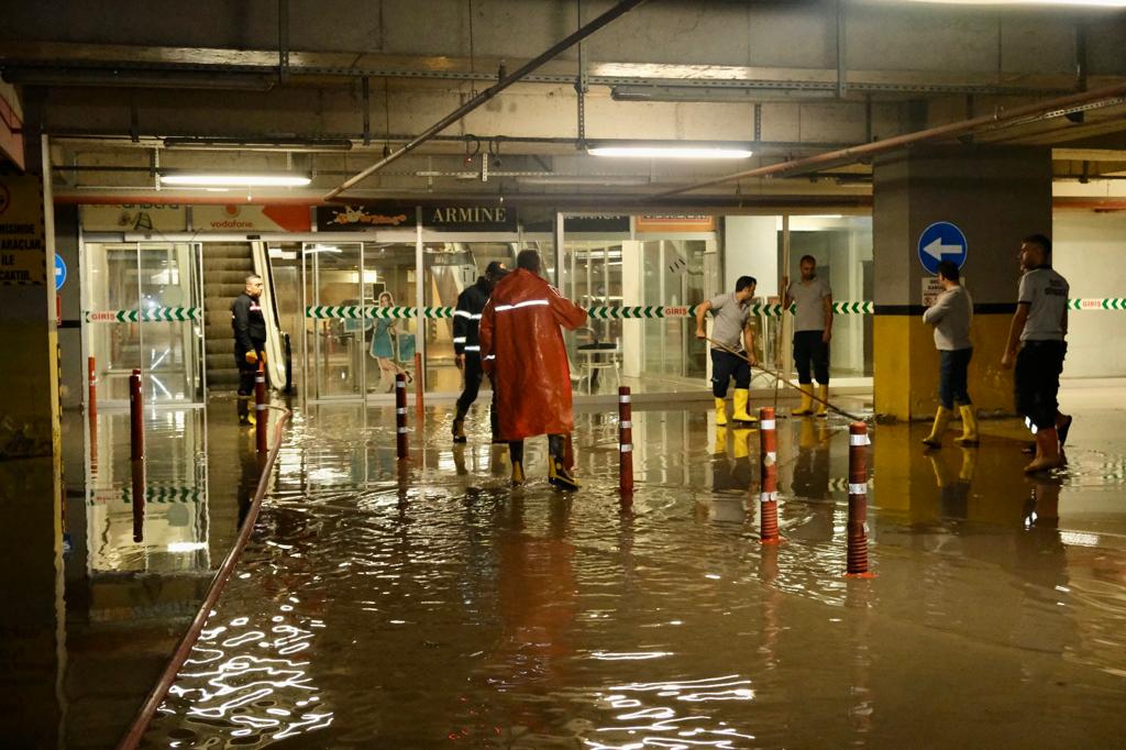 3446cda7-e2dc-444b-b793-5206a77ea071