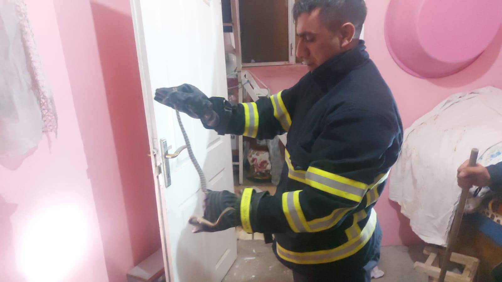 84d3e55b-a37a-427d-811d-766e501df040