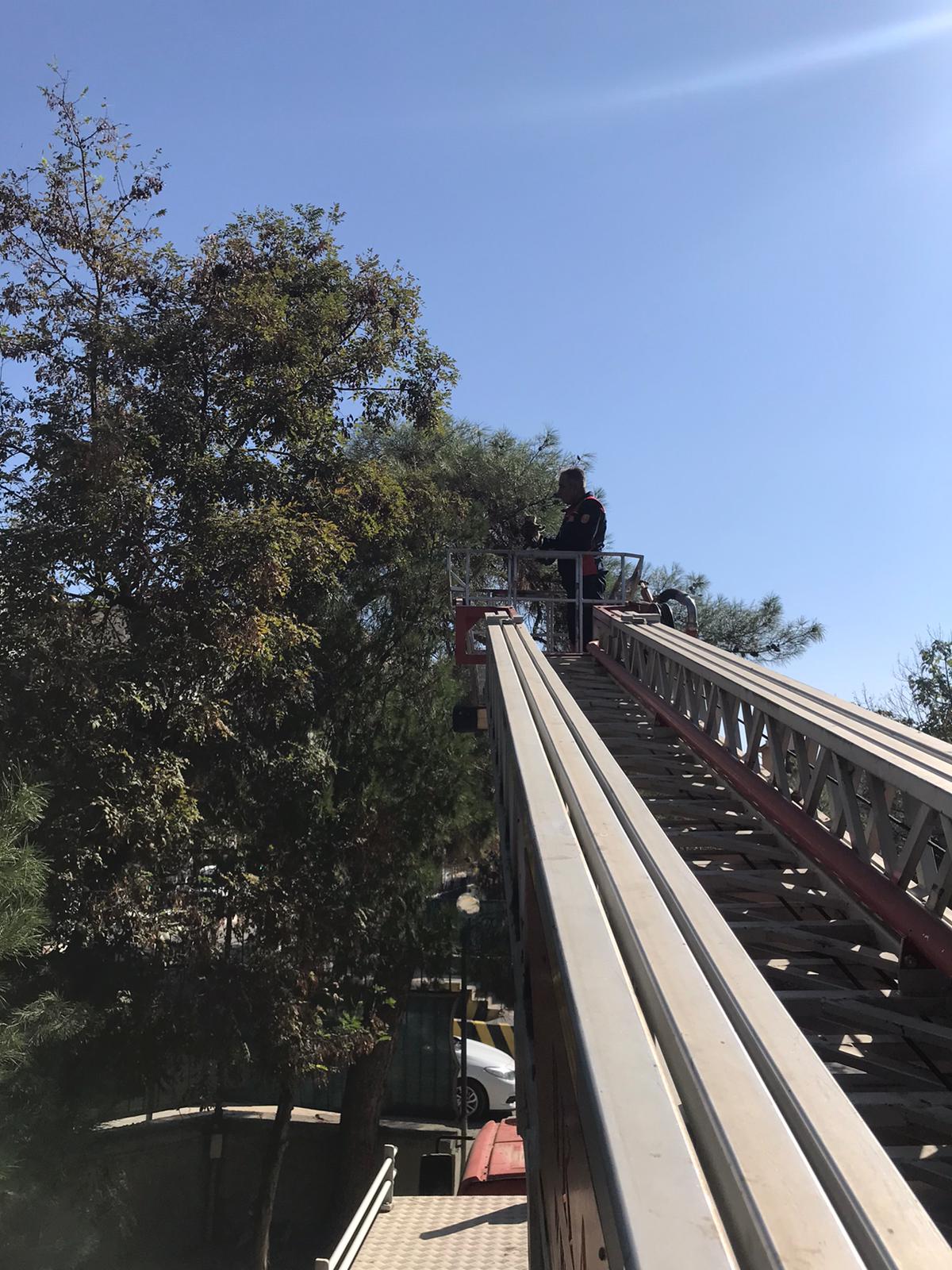 ba34ba01-0987-4897-97a3-03f6b24f3fa7