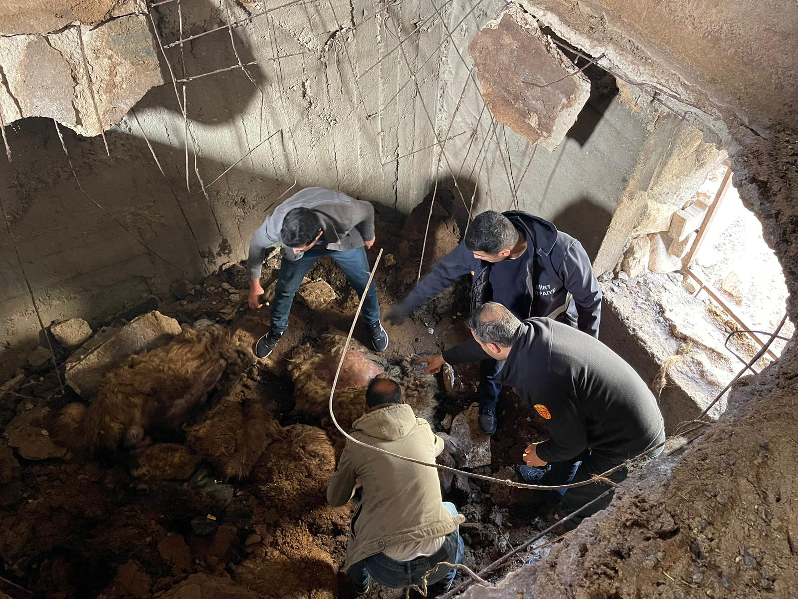 45905e16-2530-49ae-953f-4a7f6585f203