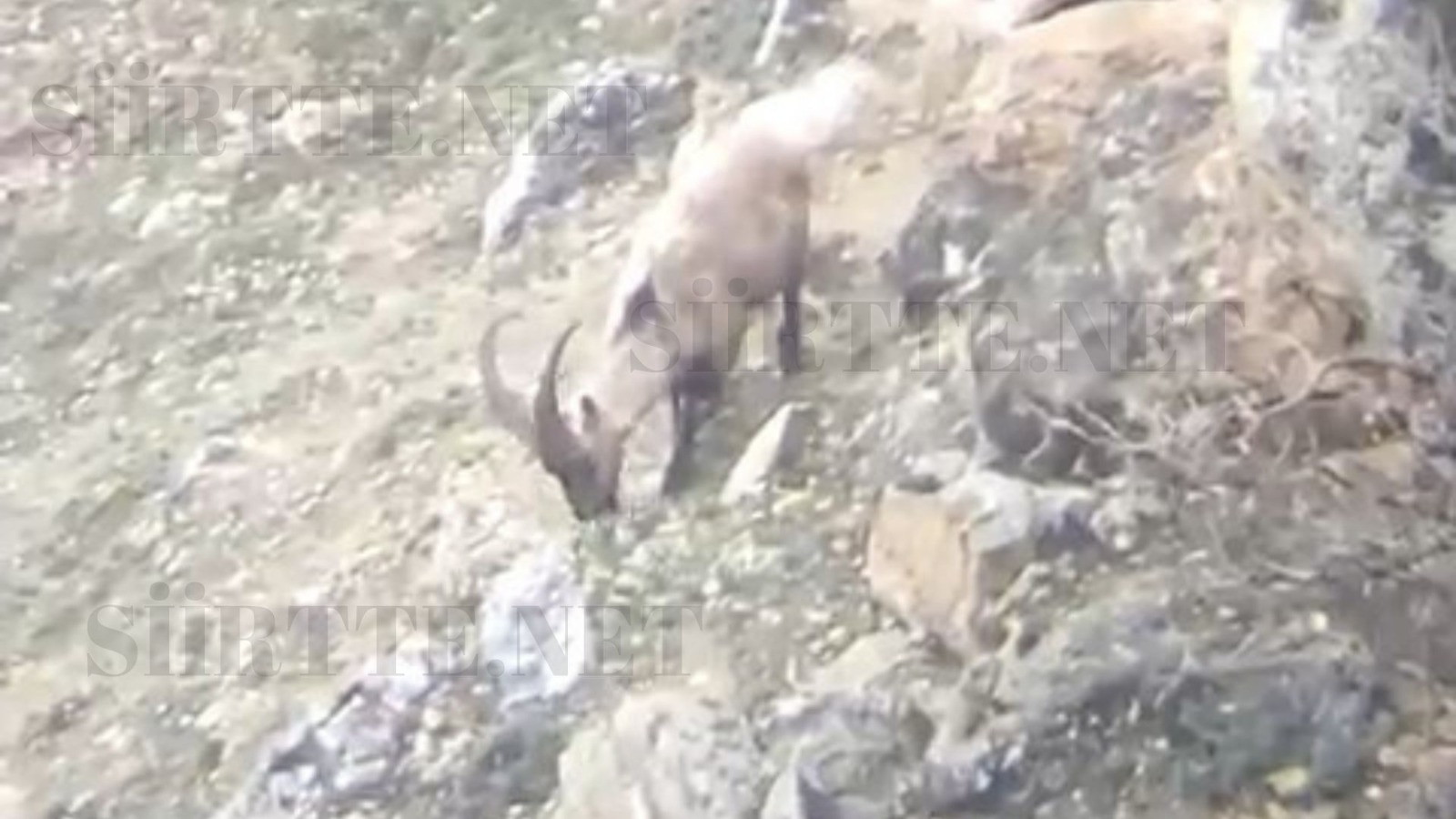 e446a1a7-93dc-4925-85a7-4ab9d73fabb3