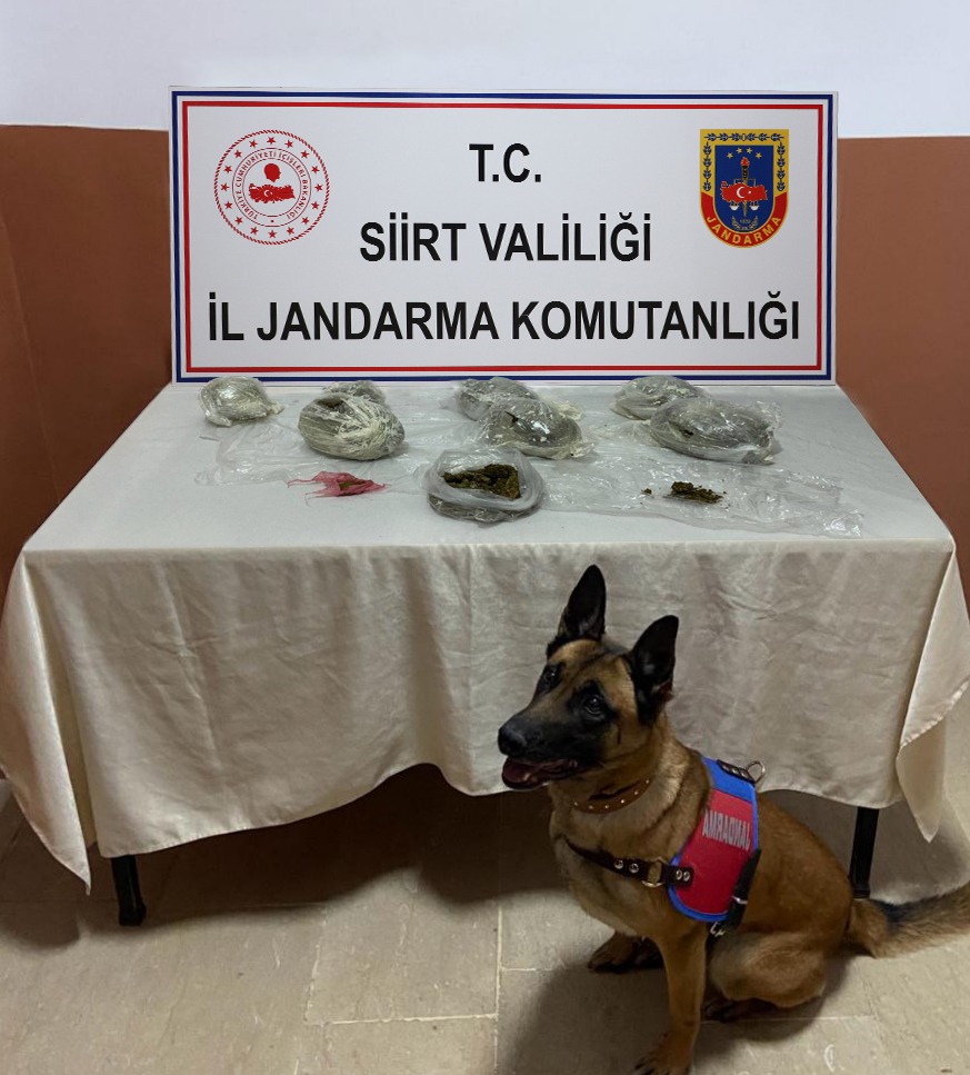 27dd9a5e-8a08-40e6-9475-37fccdd106f2