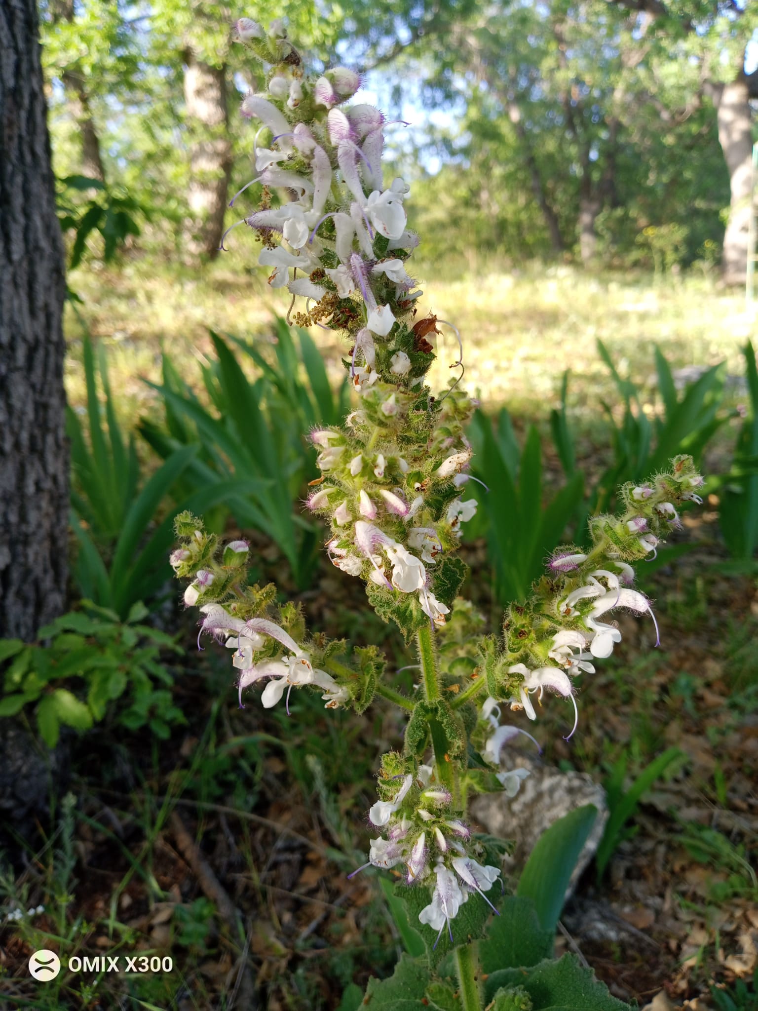 35a2f0cf-7fcc-4c8c-a62c-d3959378bdef