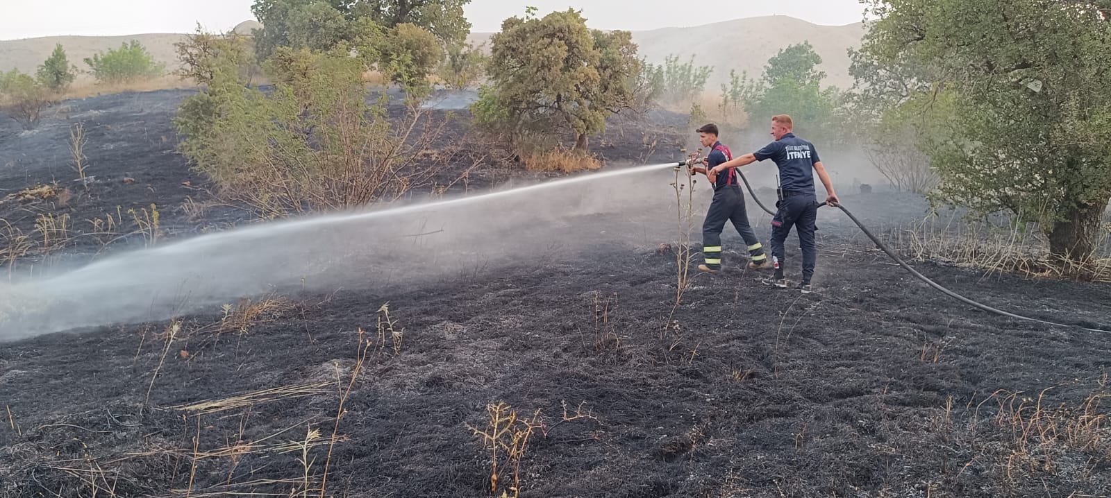 fccf55b3-a7b5-4bf5-9d9a-3d2884d7c8f3