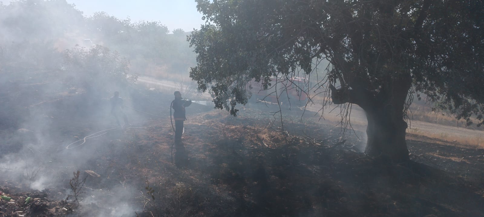 b03341bc-3a0b-49e2-accc-b023381d9743