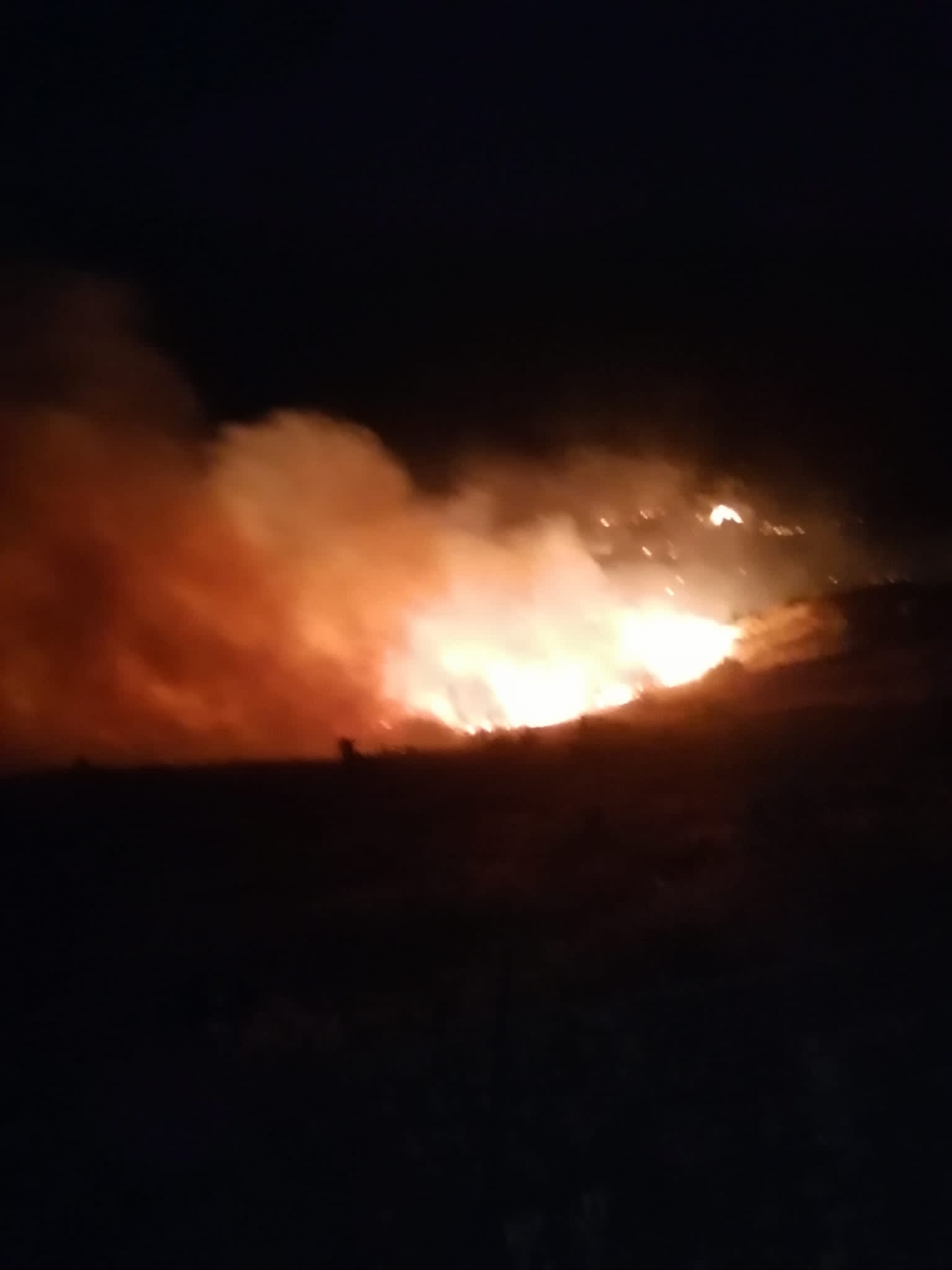 cef0bbee-a13a-4514-86d1-5ed6a8ff1c4c