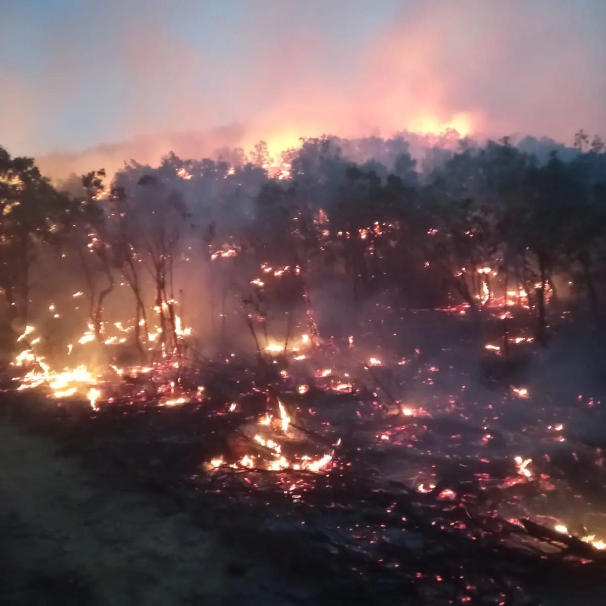 4c813099-fdd1-4056-8ac6-968d92408037