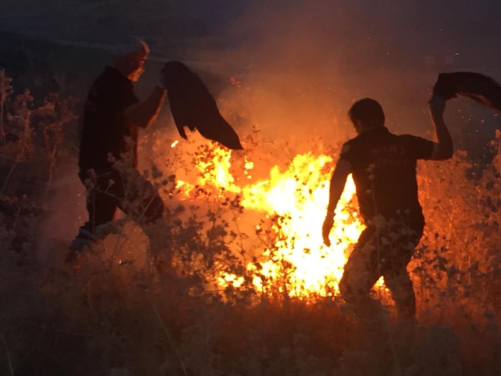 Anız Yangınları (1)