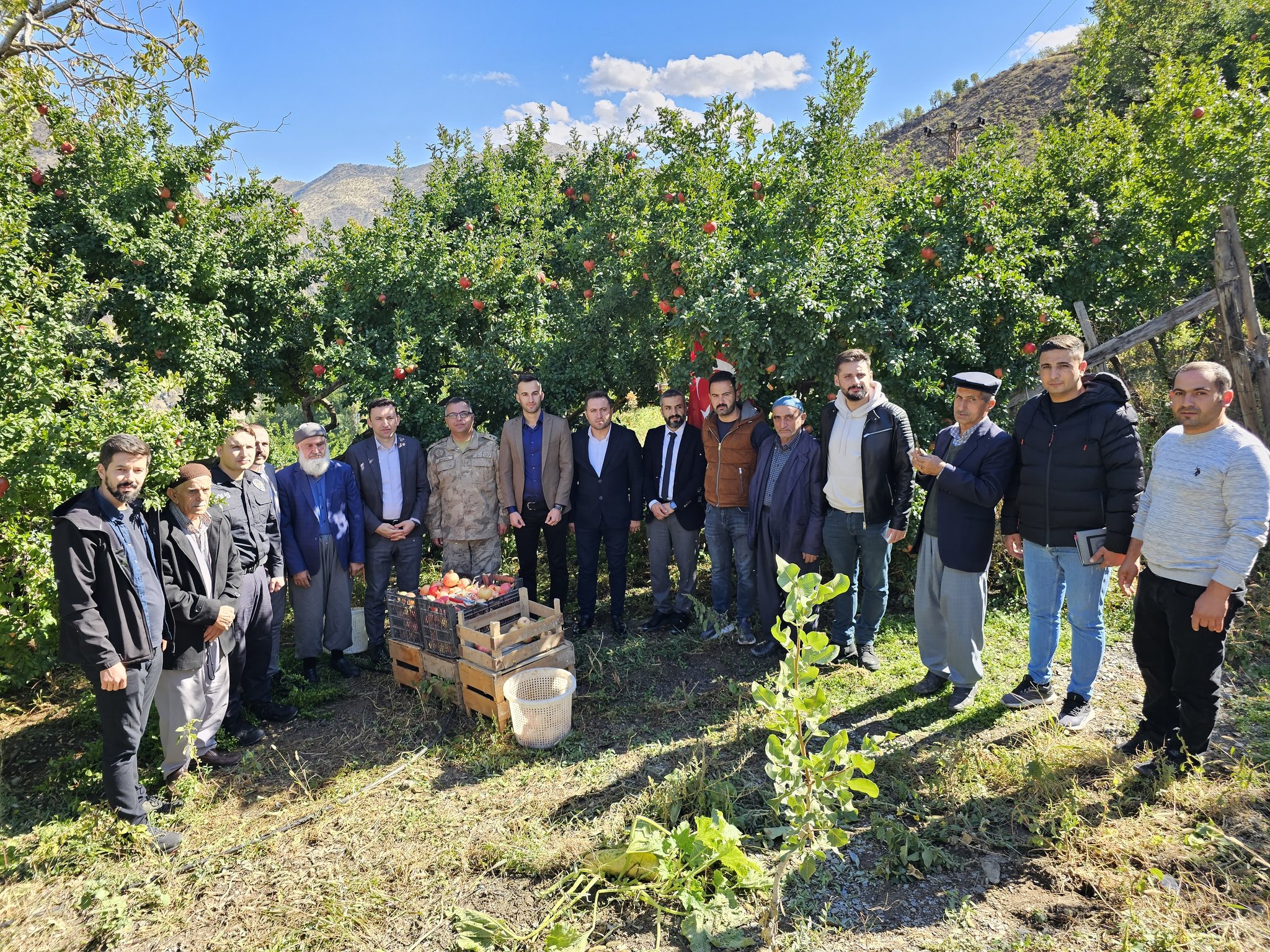 siirt-in-pervari-ilcesinde-nar-hasadi
