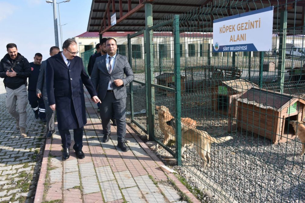 B50C34EE-A566-451A-89BE-E95A3542672C