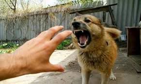 53137656-22ed-48dc-a942-31448dbda5e4