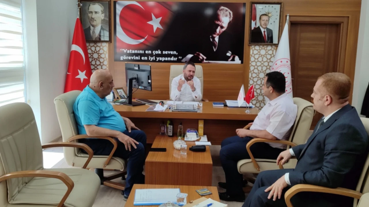 aile