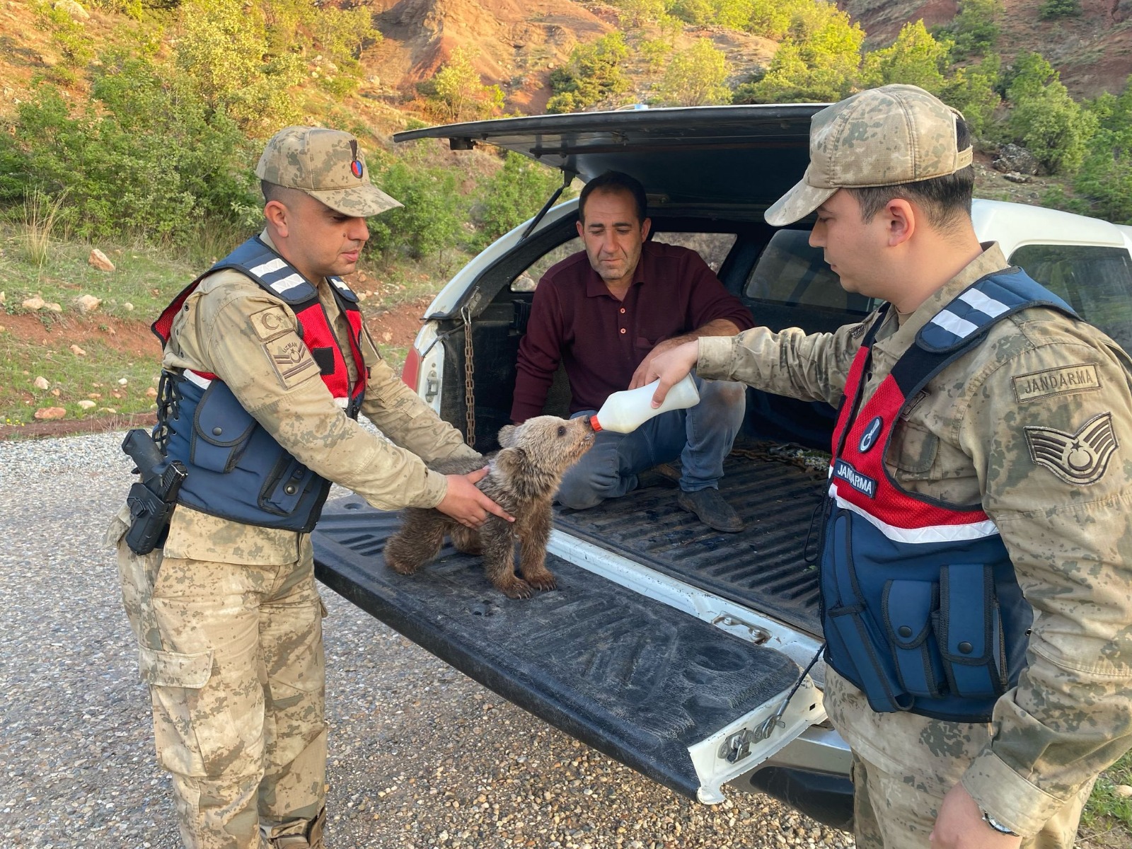 2d0ecdf5-5699-4951-94bf-fa3098583e43