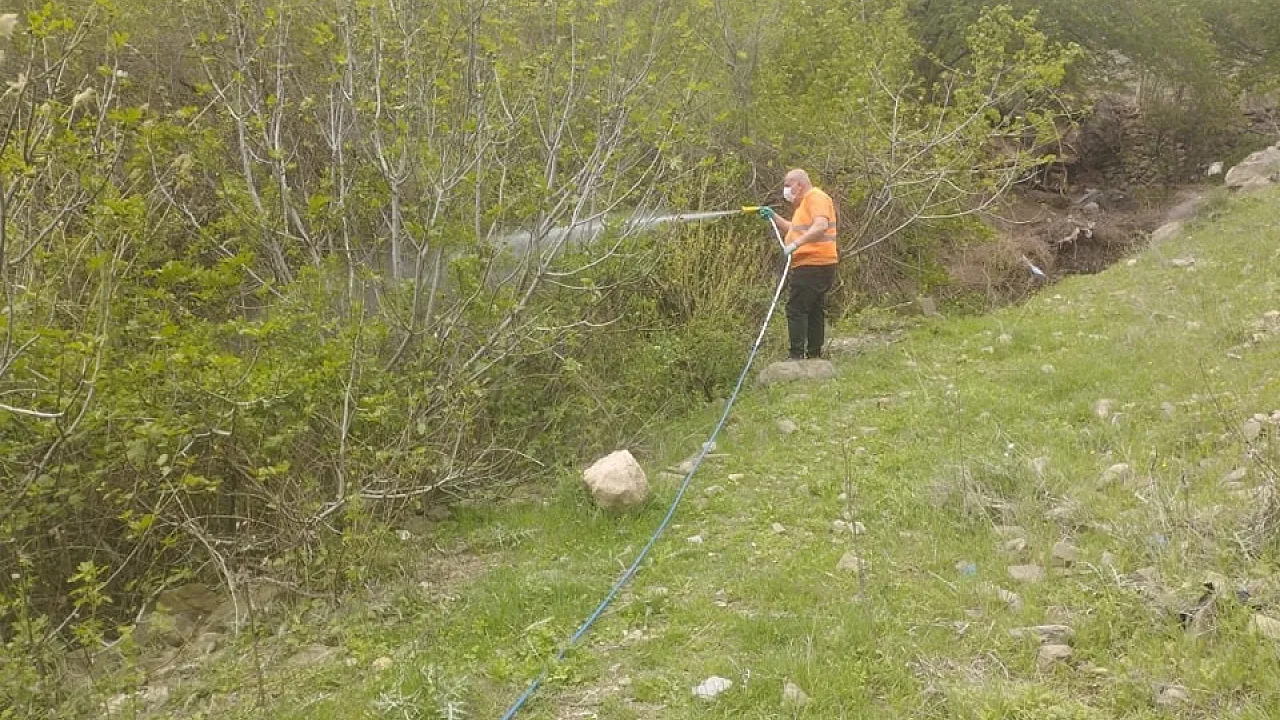 baykan-belediyesi-nden-bahar-t_1744194432_VqEIOx