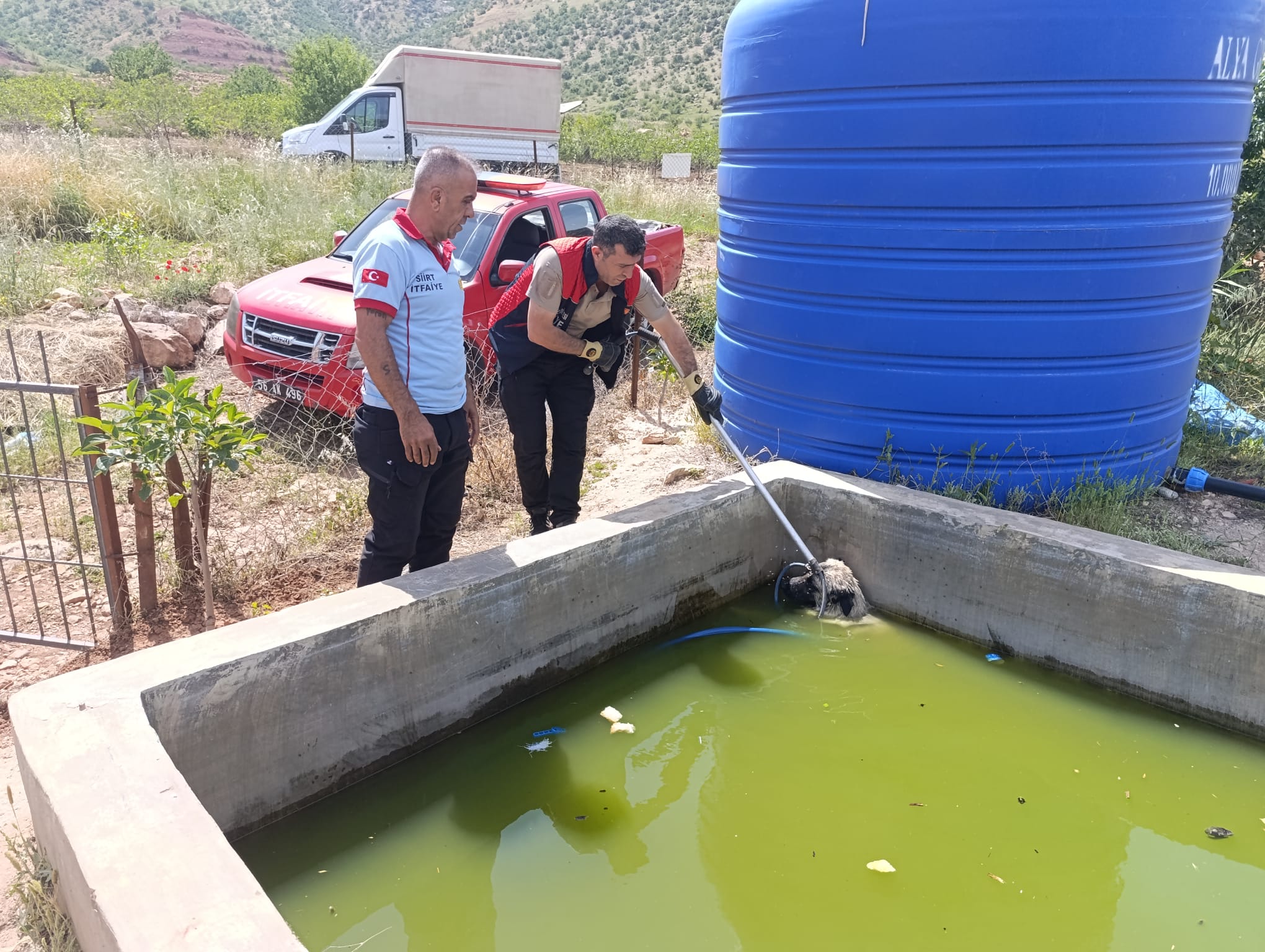 072b0ee2-1216-48e5-9024-1d4700e74944