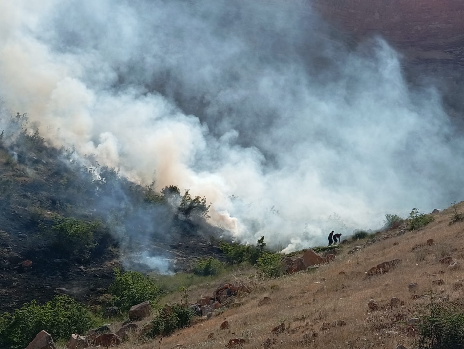 aaa0cd8b-9d73-4904-bc00-ea644267e311