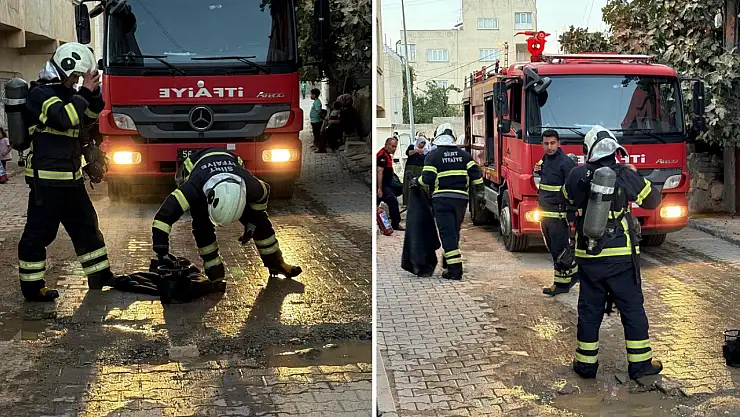 siirt-te-evde-piknik-tupu-alev_1759948375_6nJhcK