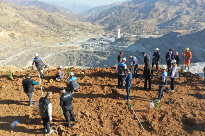 Siirt’te Doğa Yatırımı: Eti Bakır’dan Hedef 1 Milyon Fidan