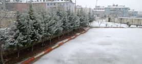 4d06f82d-2d37-4298-80f8-03f08cb46977