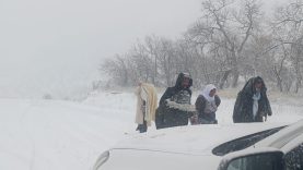 5af71eb3-2674-4204-bfb8-c9312f9b6554