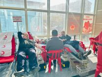 5e38393c-5580-4617-8d6e-3d48b657b0de