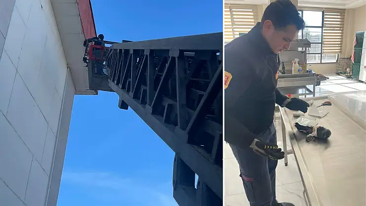 Siirt Üniversitesi’nde yaralı karga itfaiye ekiplerince kurtarıldı