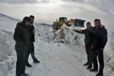 01d33fd1-1a4d-472c-93f1-152bfe9415e5