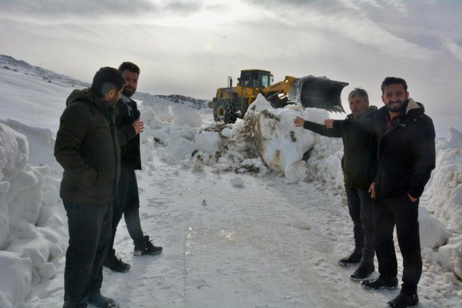 01d33fd1-1a4d-472c-93f1-152bfe9415e5