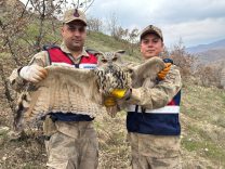 61a62ebd-e94d-46d7-8abc-6becce31ec7a